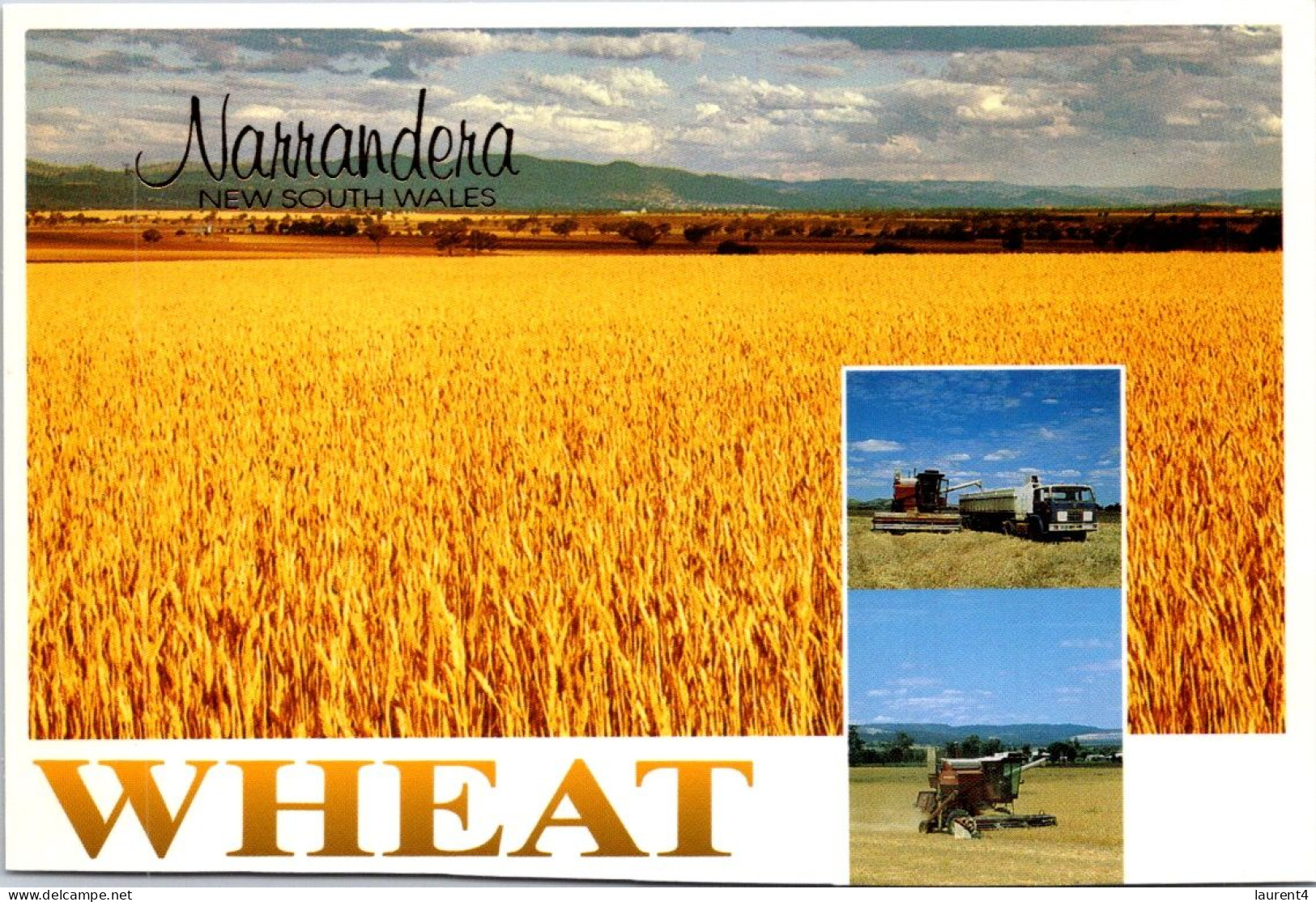 10-5-2024 (4 Z 36) Australia - NSW - Wheat Farming In Narrandera (posted With Quoll Stamp In 1997) - Cultures