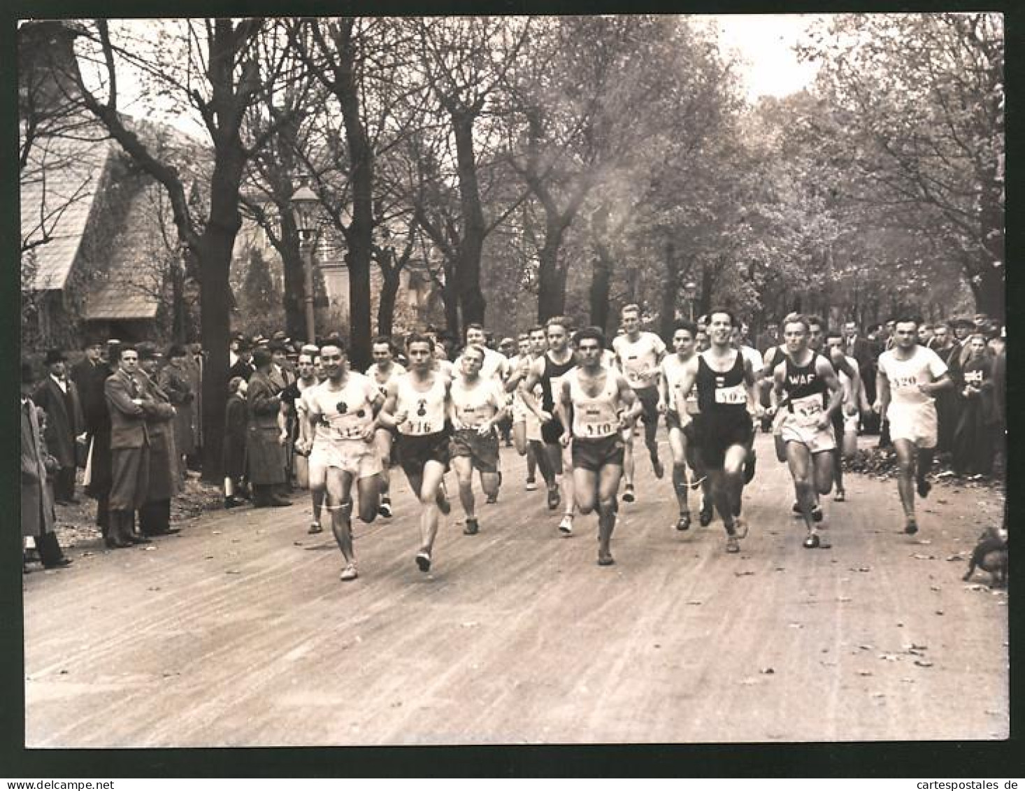 Fotografie Ansicht Wien, Herbstwaldlauf Des DRL Im Prater  - Sporten