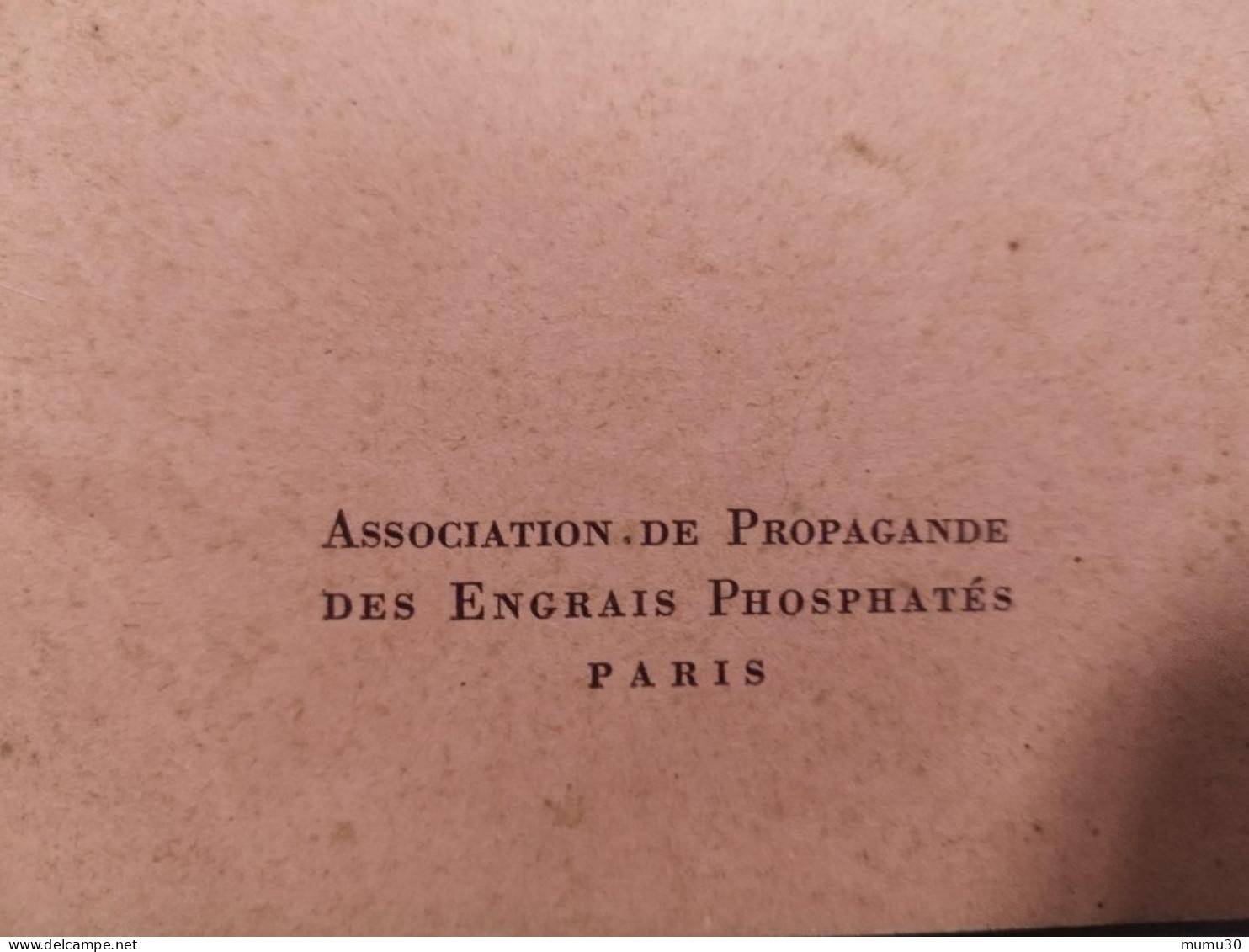 Rare Livret La Vigne Sa Fumure Propagande Des Engrais Phosphates 1950 Viticulture Agriculture France - Other & Unclassified
