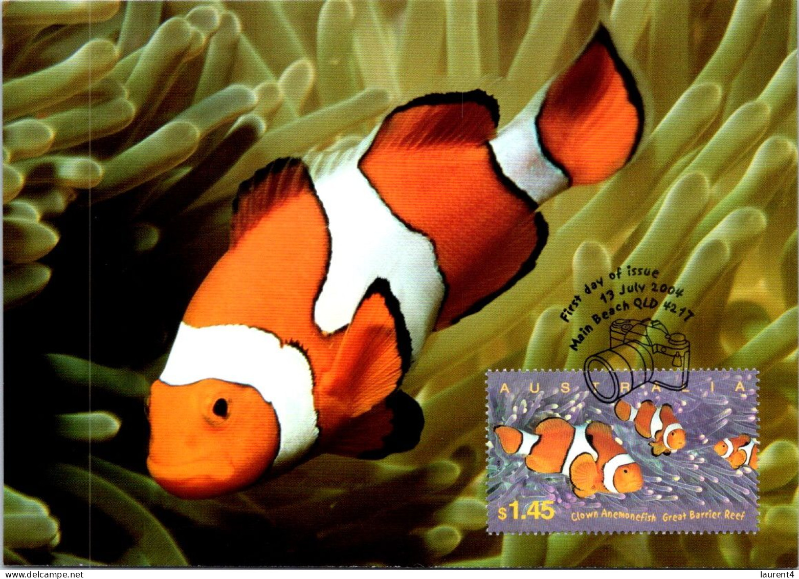 10-5-2024 (4 Z 38) Australia (1 Card) Maxicard (if Not Sold Will NOT Be Re-listed) Reef Fish - Cartas Máxima