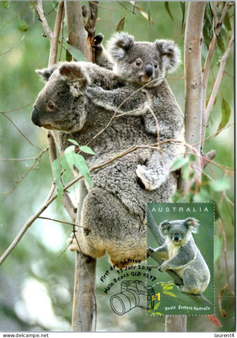 10-5-2024 (4 Z 38) Australia (1 Card) Maxicard (if Not Sold Will NOT Be Re-listed) Koala Bear - Cartoline Maximum