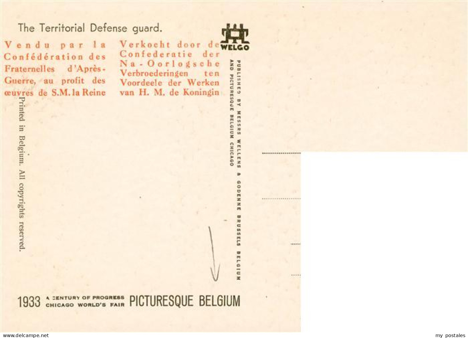 73903256 Belgium Belgie Belgien The Territorial Defense Guard  - Sonstige & Ohne Zuordnung