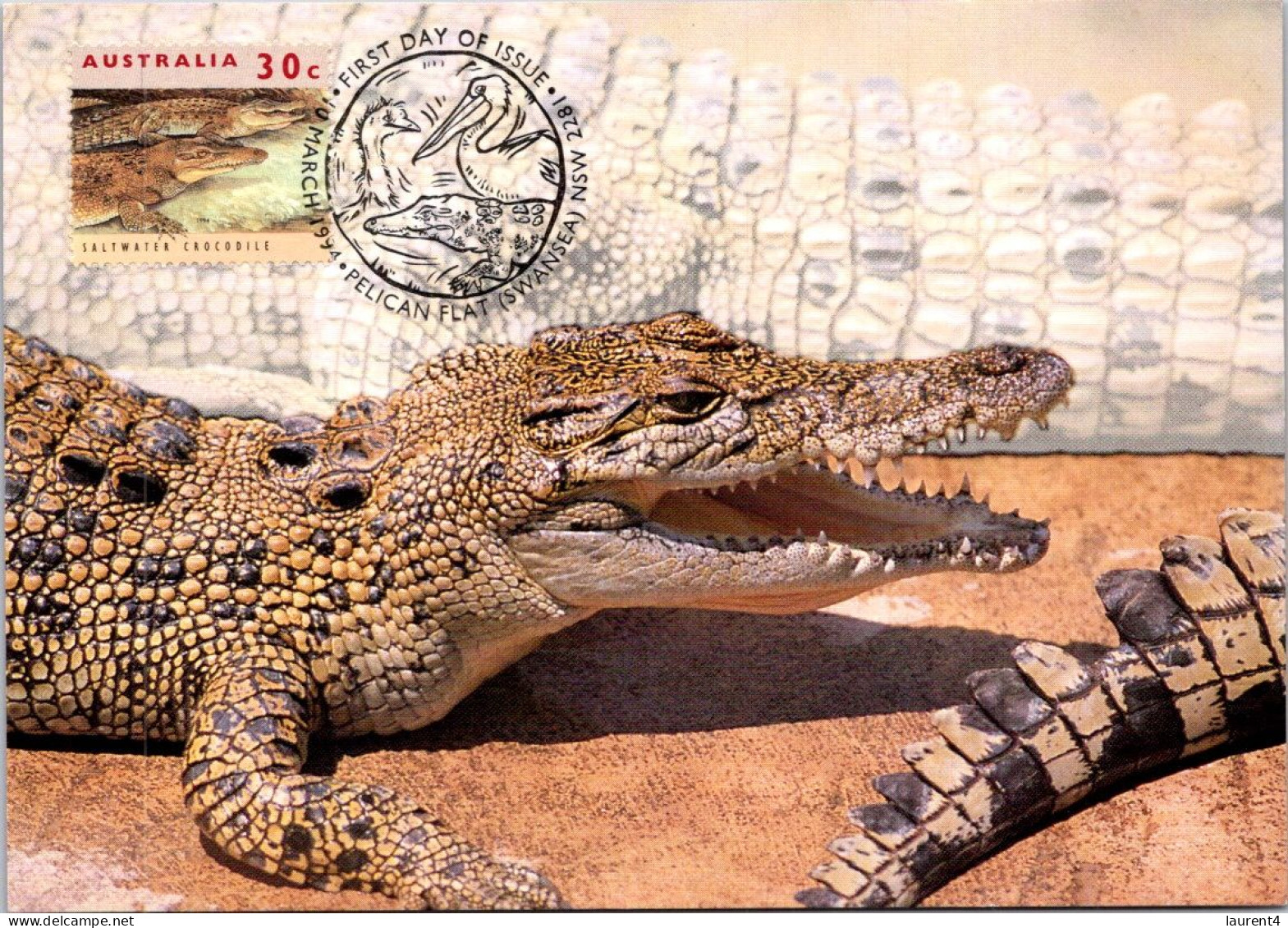 10-5-2024 (4 Z 38) Australia (1 Card) Maxicard (if Not Sold Will NOT Be Re-listed) Saltwater Crocodile - Maximum Cards