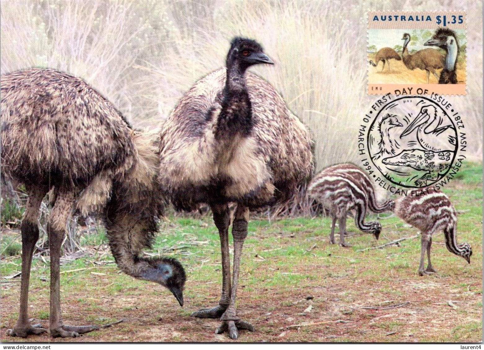 10-5-2024 (4 Z 38) Australia (1 Card) Maxicard (if Not Sold Will NOT Be Re-listed) Emu Bird - Cartas Máxima