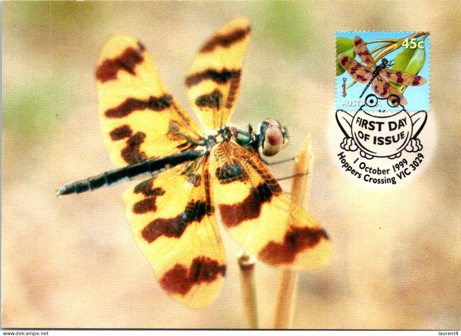 10-5-2024 (4 Z 38) Australia (1 Card) Maxicard (if Not Sold Will NOT Be Re-listed) Dragonfly - Maximum Cards