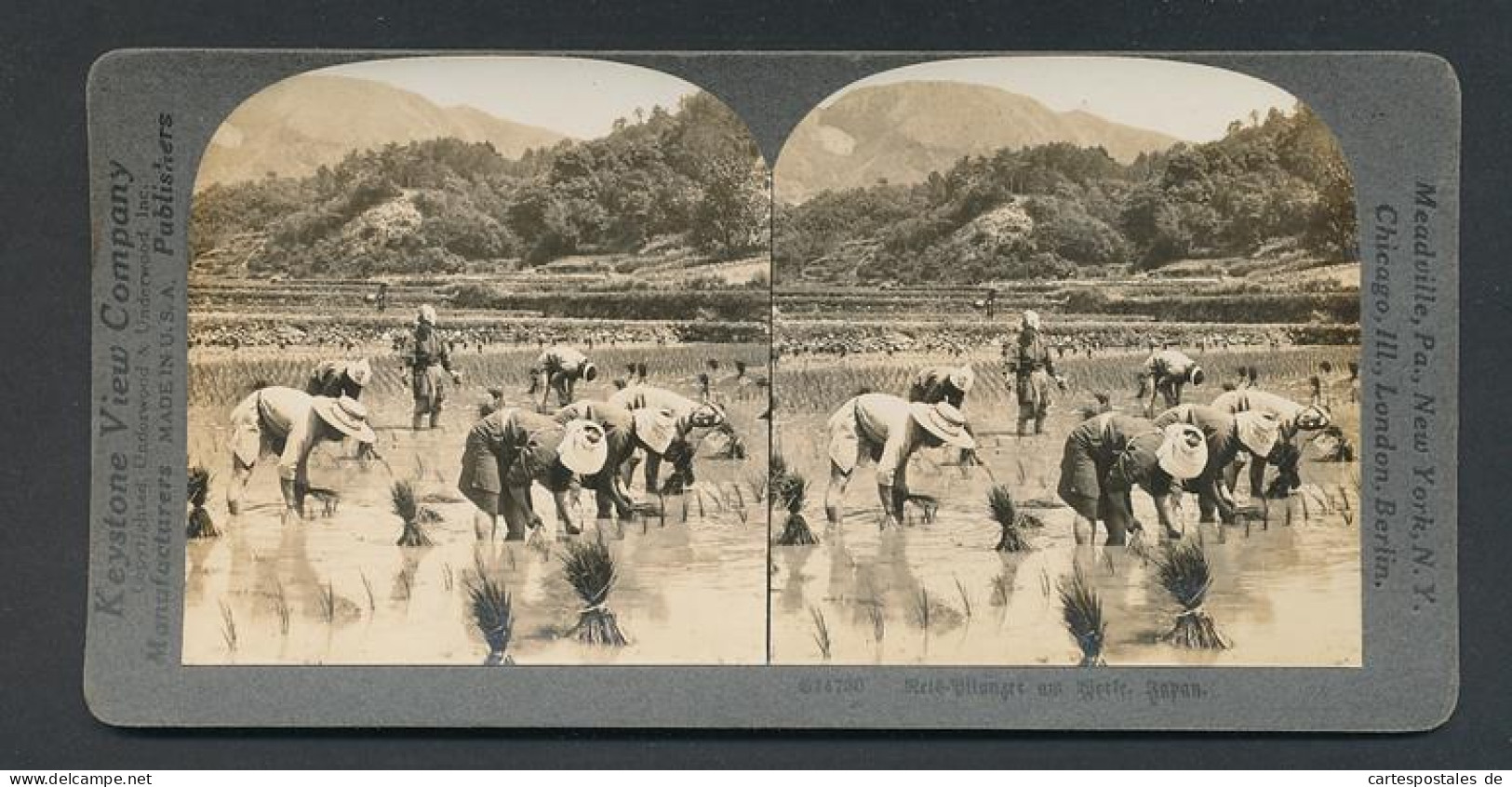 Stereo-Fotografie Keystone View Company, Meadville /Pa, Reis-Pflanzer In Japan  - Professions