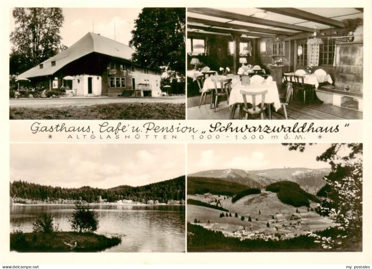 73864365 Altglashuetten Gasthaus Cafe Pension Schwarzwaldhaus Windgfaellweiher L - Feldberg