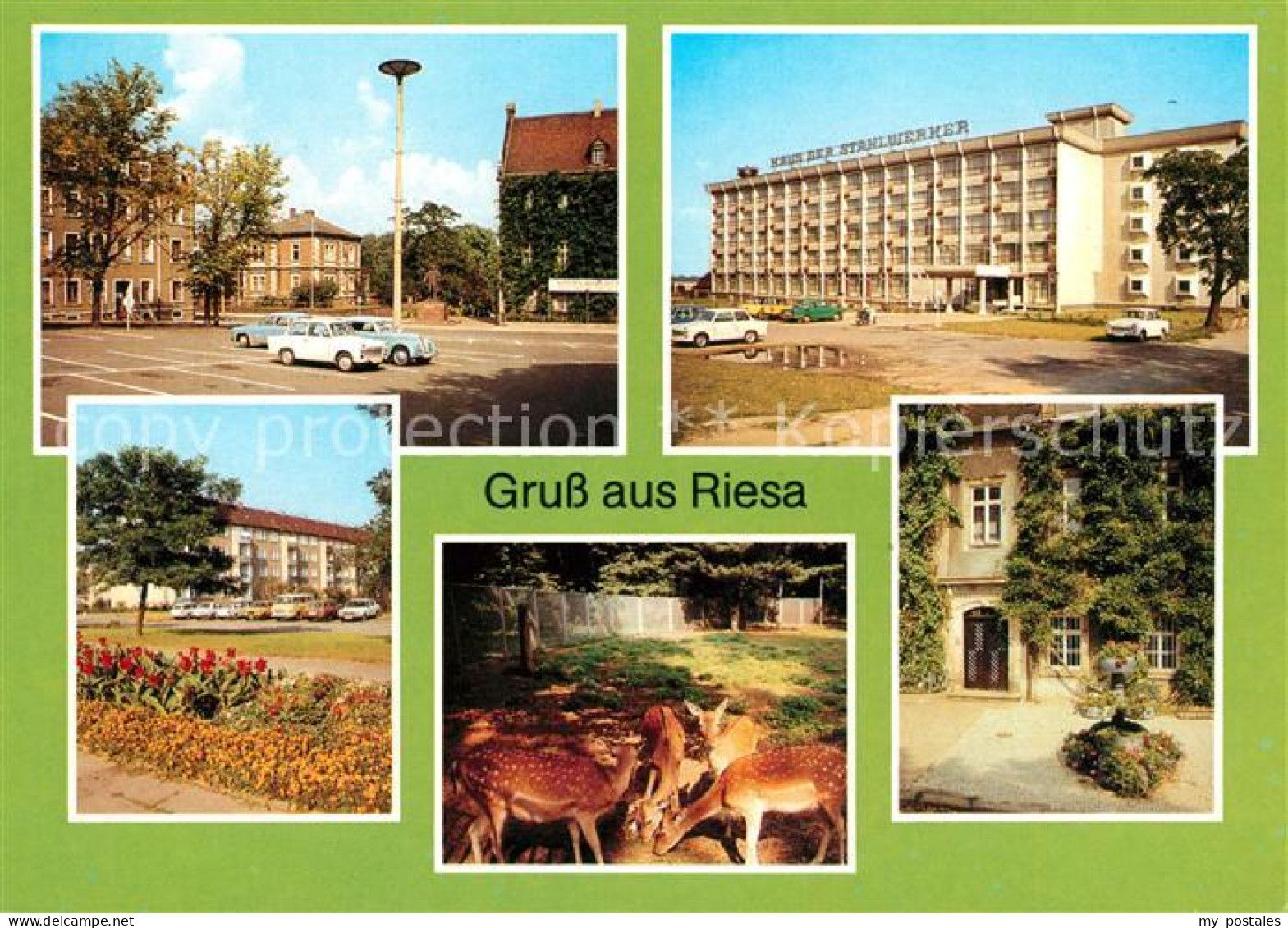 73065843 Riesa Sachsen Rathaus Tierpark Leninplatz Riesa Sachsen - Riesa