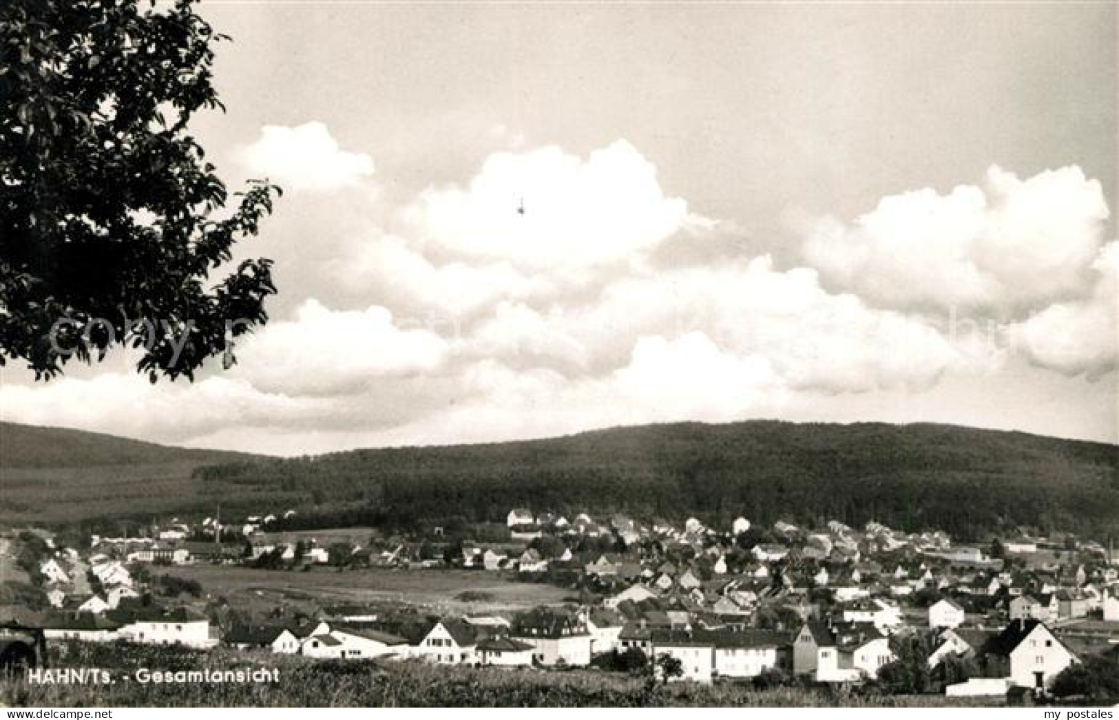 73065407 Hahn Pfungstadt Gesamtansicht Hahn Pfungstadt - Pfungstadt