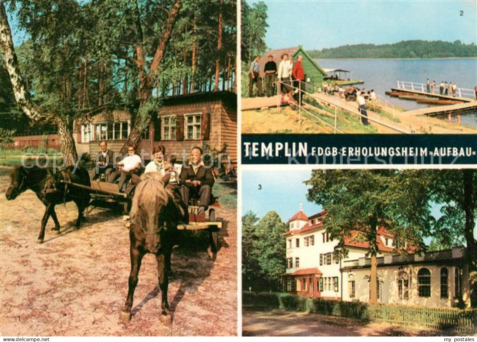 73063865 Templin Ausfahrt Mit Ponys Badestrand Luebbersee FDGB Erholungsheim Auf - Templin