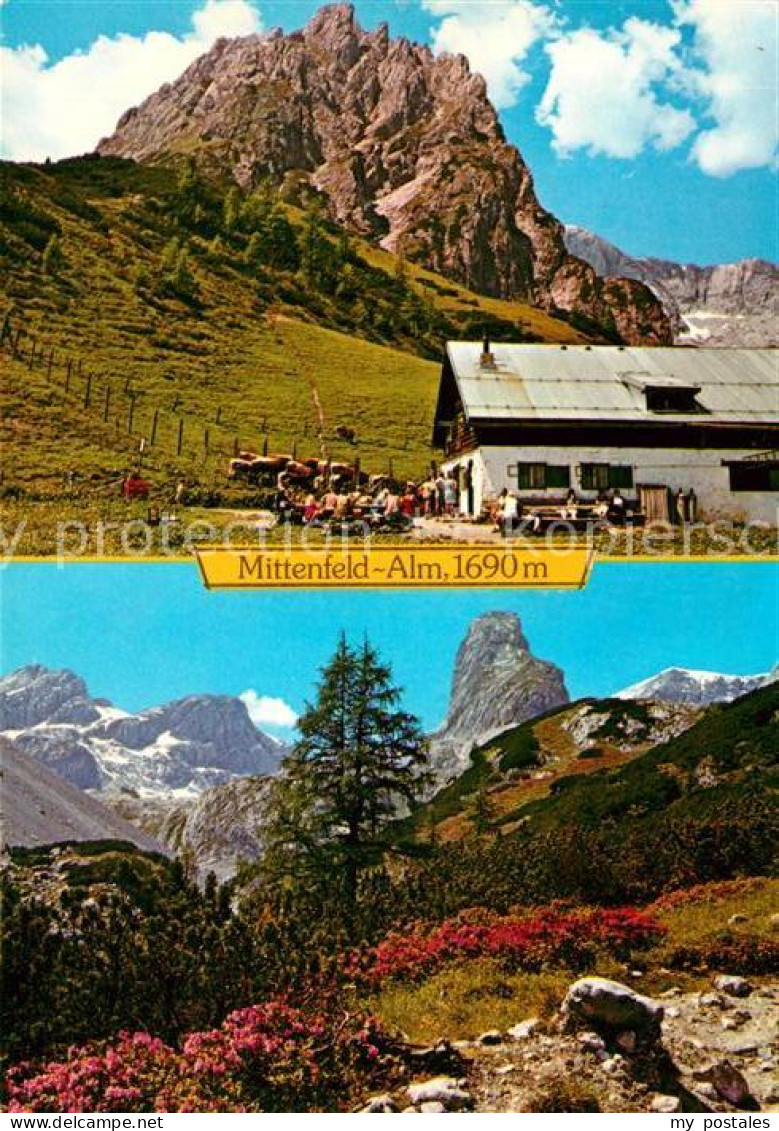 73063045 Muehlbach Hochkoenig Mittenfeld Alm Schutzhaus Muehlbach Hochkoenig - Other & Unclassified