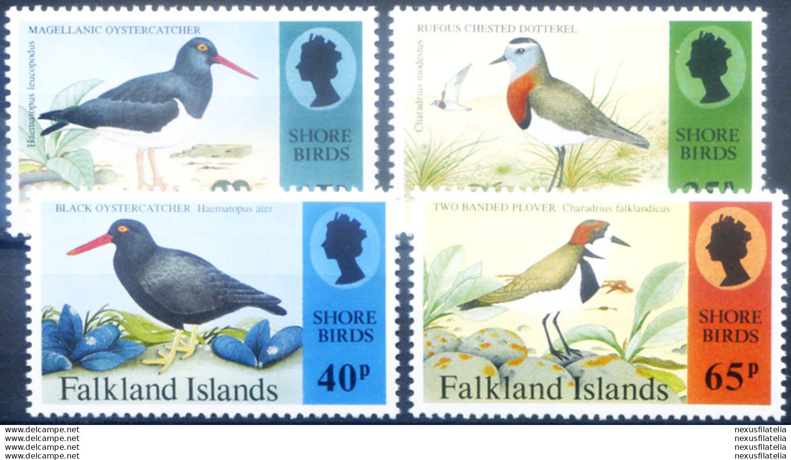Fauna. Uccelli 1995. - Falklandeilanden