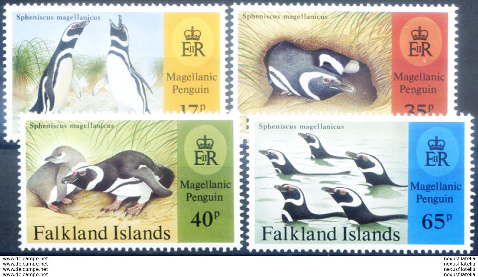 Fauna. Pinguini 1997. - Falklandeilanden