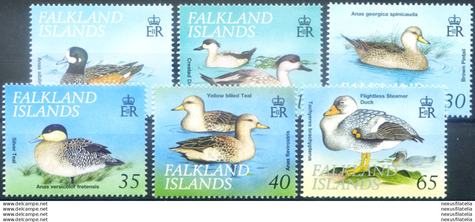 Fauna. Uccelli 1999. - Falklandeilanden