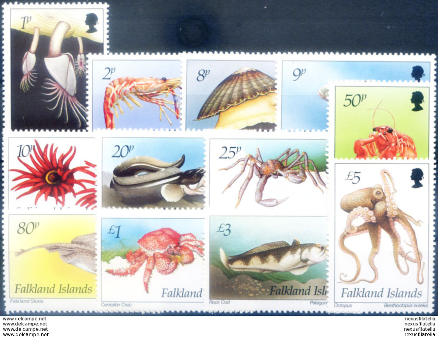 Definitiva. Fauna Marina 1994. - Falklandeilanden