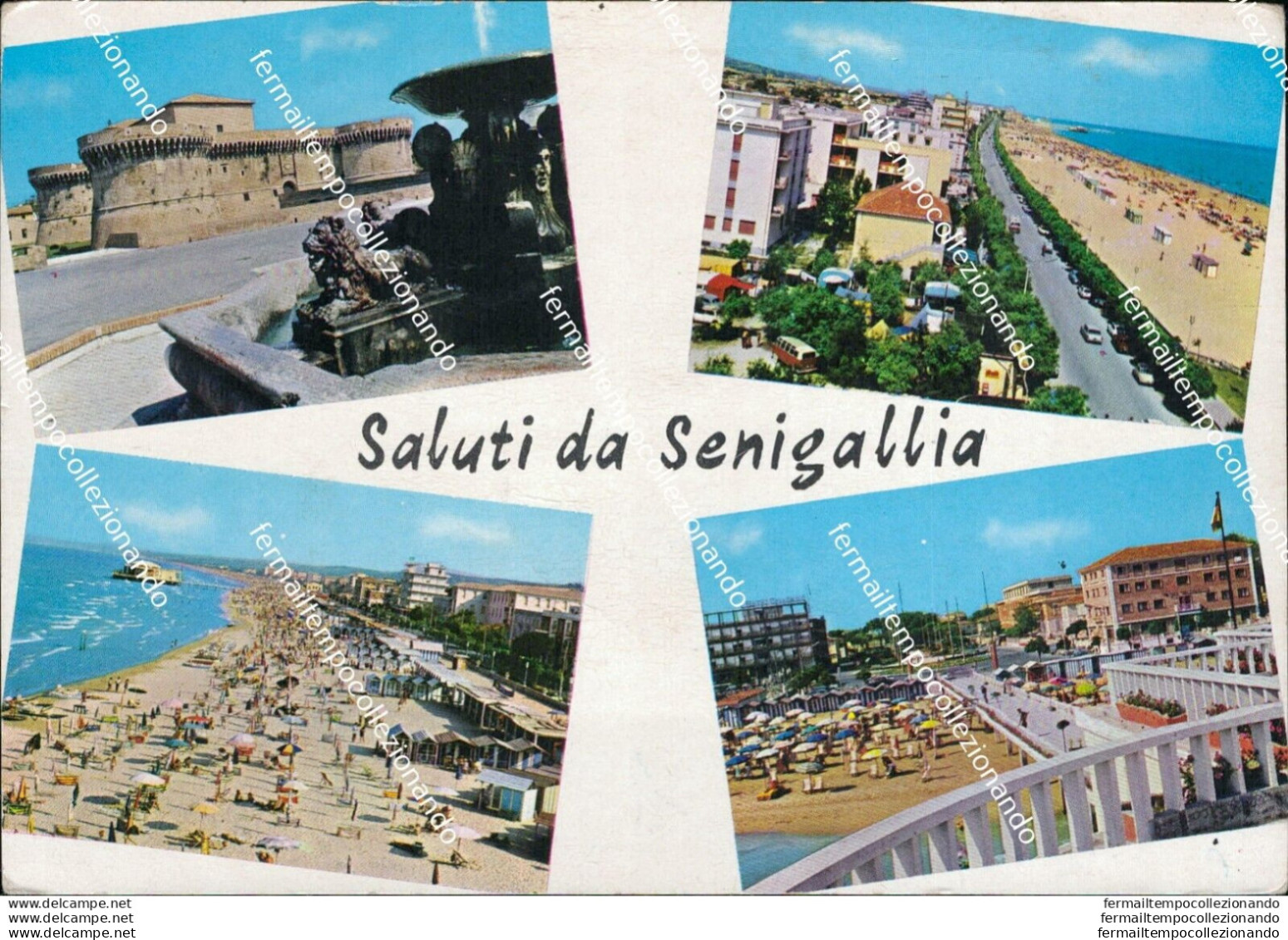 At488 Cartolina  Saluti Da Senigallia Provincia Di Ancona - Ancona