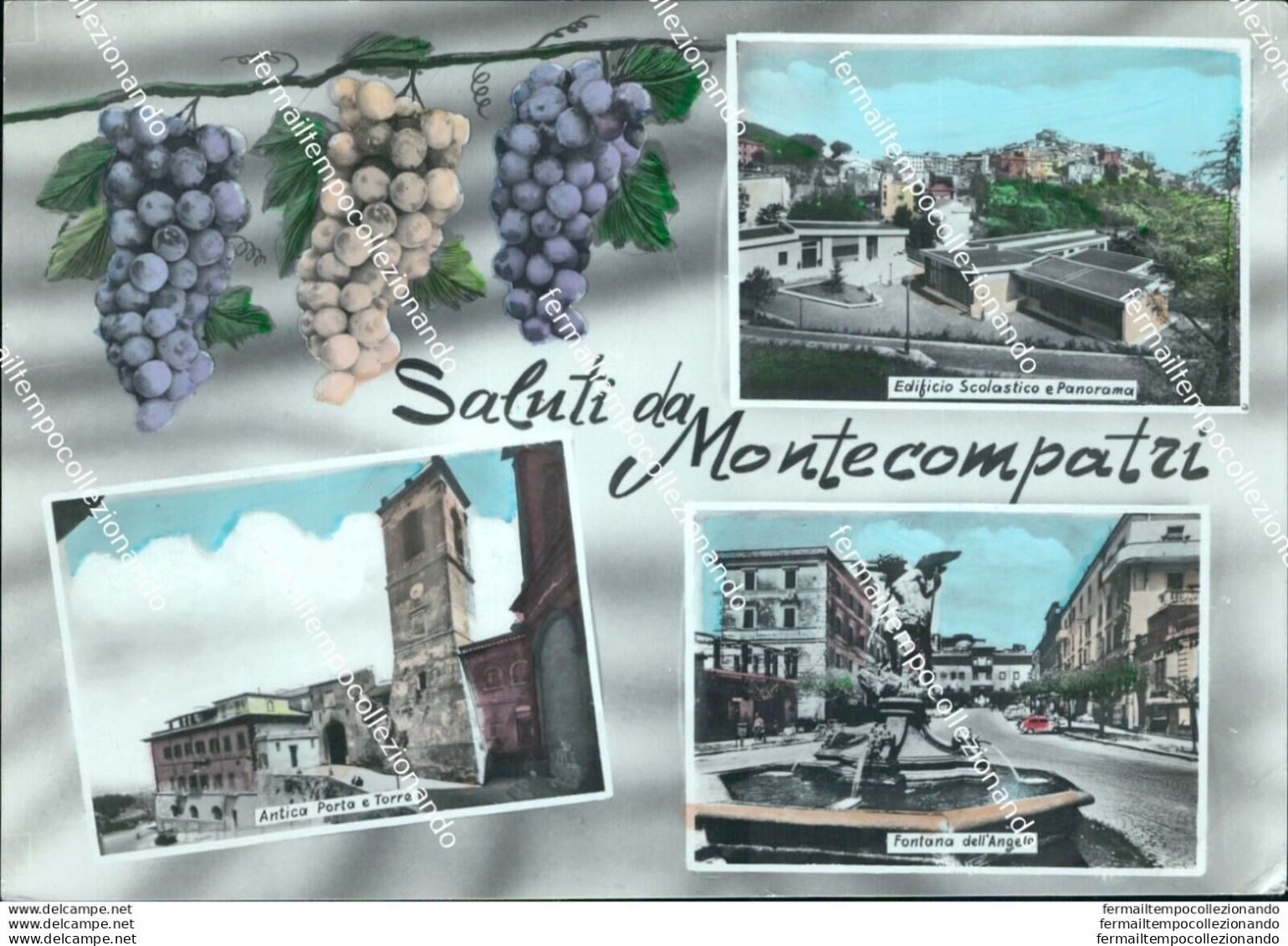 Bh536 Cartolina Saluti Da Montecompatri Provincia Di Roma - Altri & Non Classificati