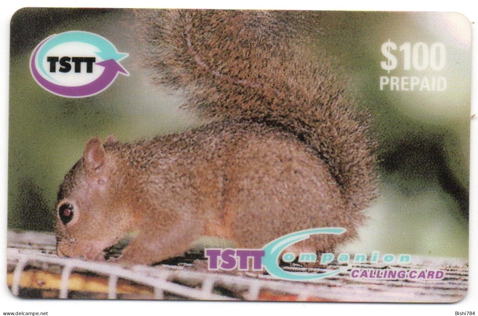 Trinidad & Tobago - Hungry Little Squirrel - Trinidad En Tobago