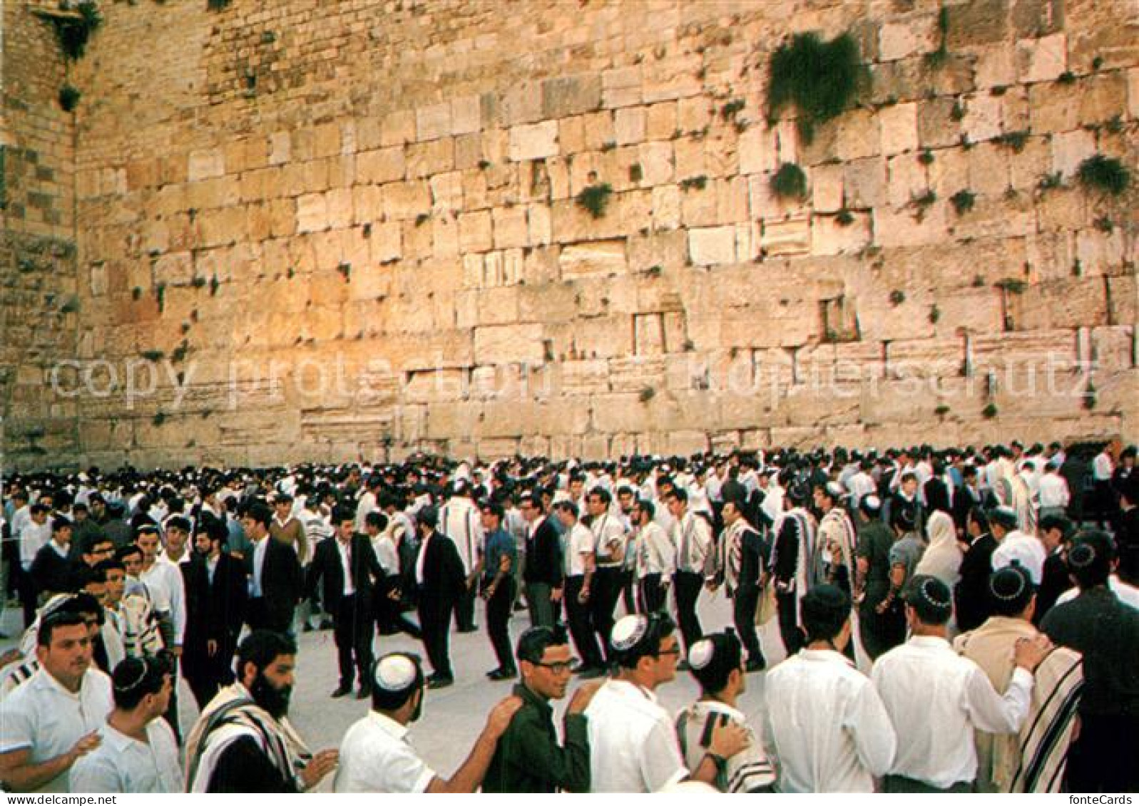 73013782 Jerusalem Yerushalayim Congregation At The Wailing Wall Jerusalem Yerus - Israele