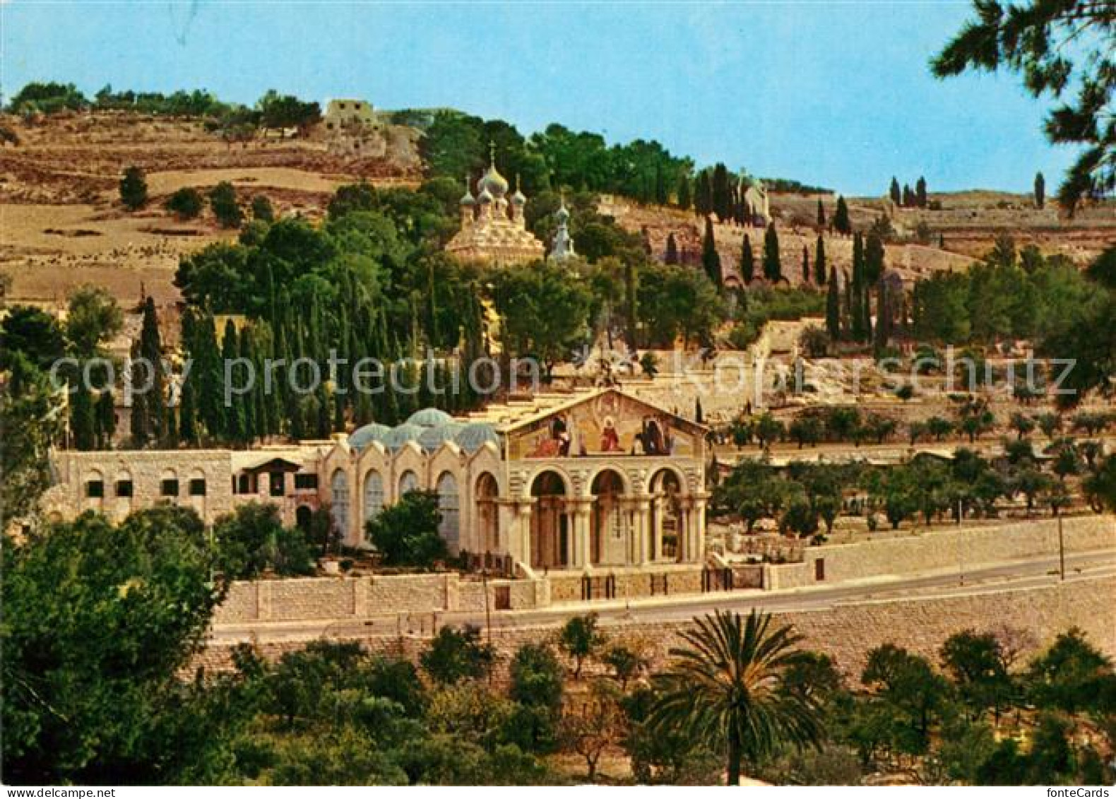 73003208 Jerusalem Yerushalayim Altstadt Basilika Gaerten Von Gethsemane Jerusal - Israel