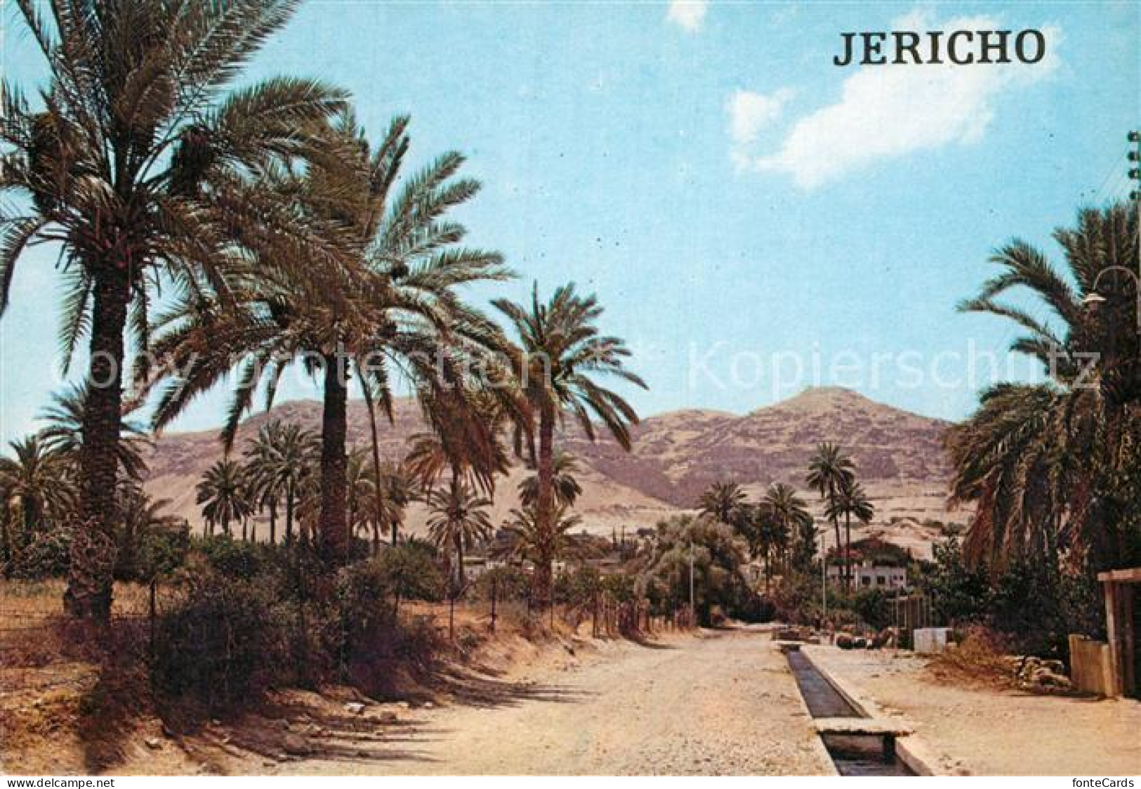 73003070 Jericho Israel Fountain Of Eliseus Jericho Israel - Israël