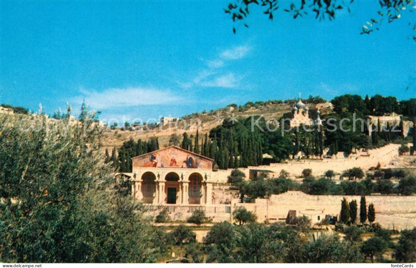 72999660 Jerusalem Yerushalayim Basilika Garten  Jerusalem Yerushalayim - Israel