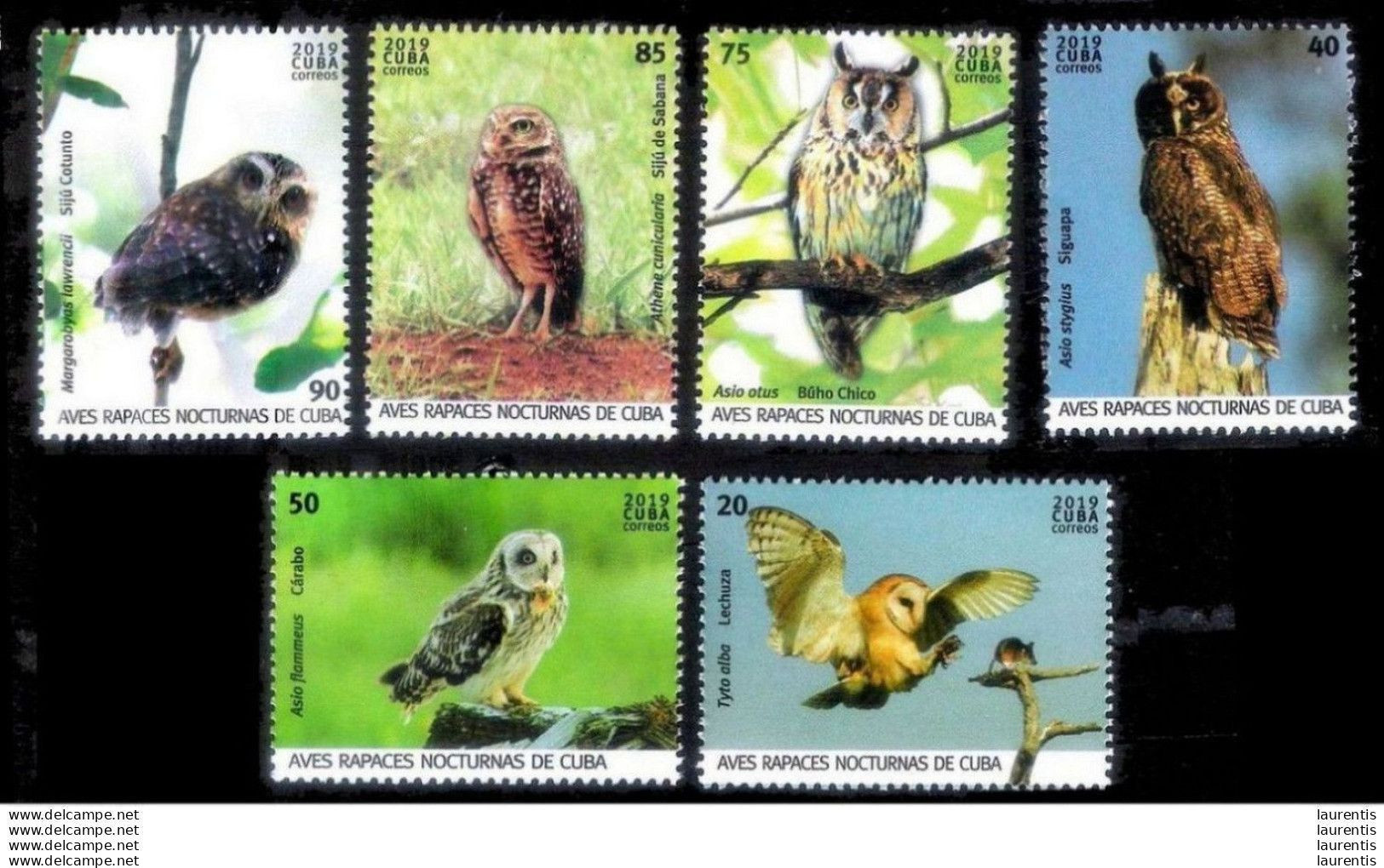 2861  Owls - Hiboux - 2019 - MNH - Cb - 2,50 - Eulenvögel