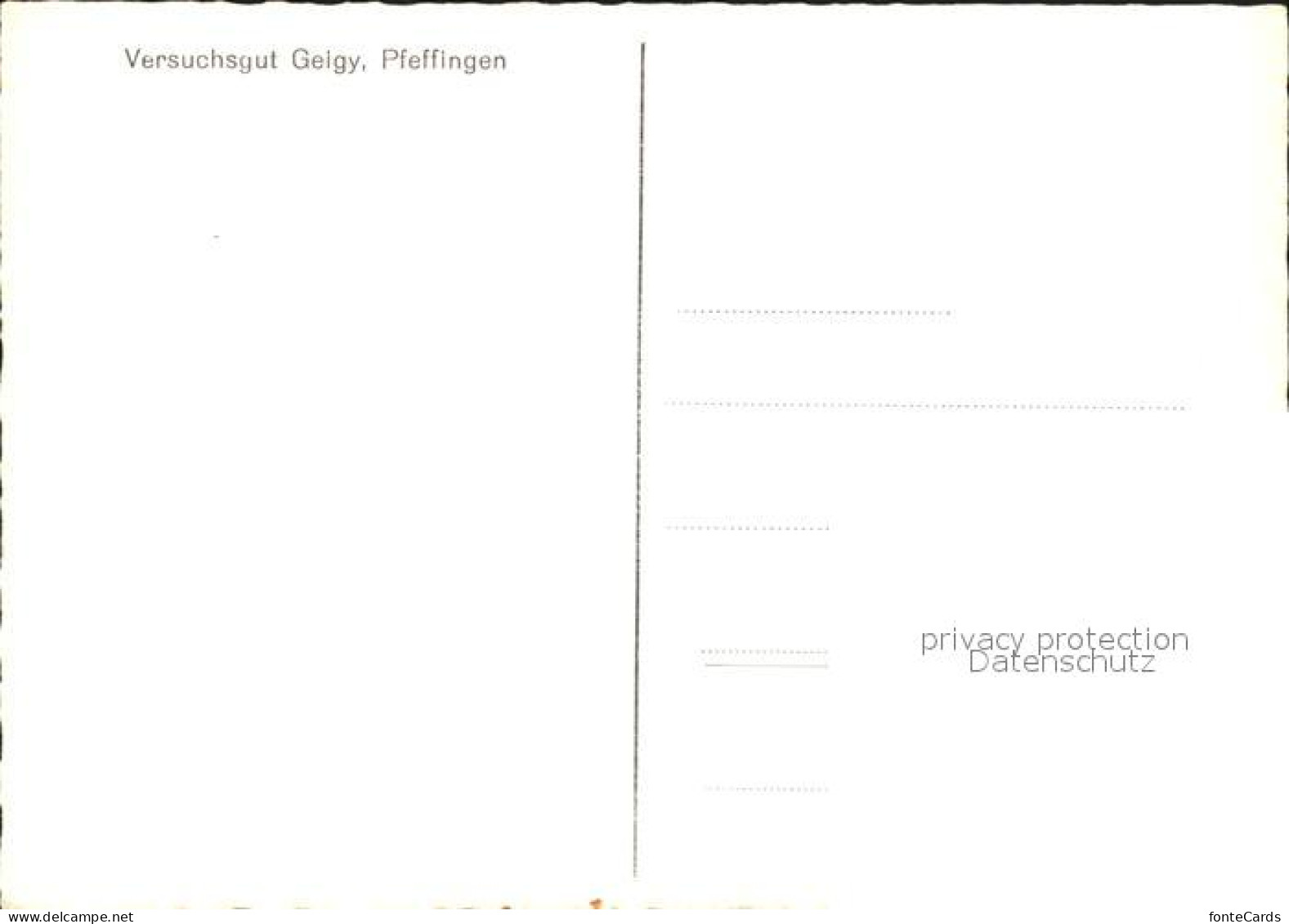 11626278 Pfeffingen Arlesheim Versuchsgut Geigy Pfeffingen - Altri & Non Classificati