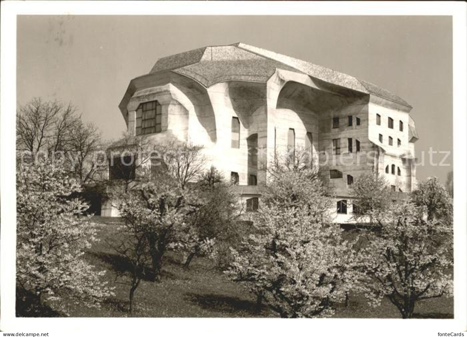 11625642 Dornach SO Goetheanum Dornach - Autres & Non Classés