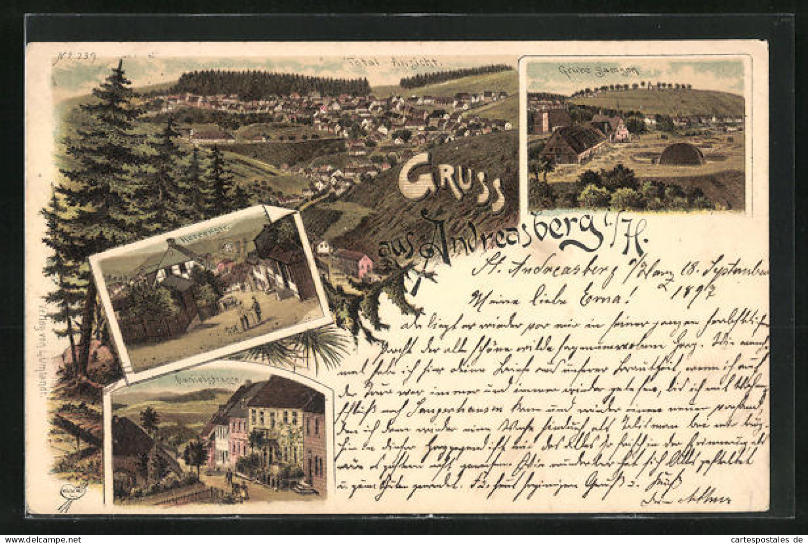 Lithographie Andreasberg I. H., Grube Samson, Gesamtansicht, Herrenstrasse, Danielstrasse, Salzbergwerk  - Bergbau