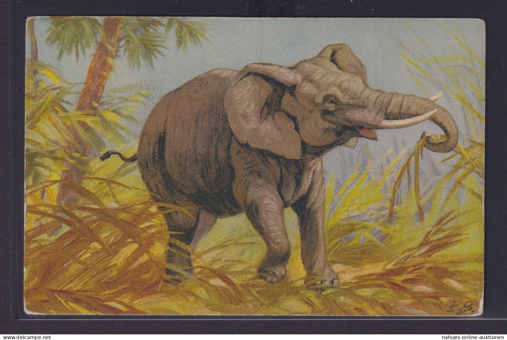 Ansichtskarte Elefant Tiere Künstlerkarte Sign. E.B. - Andere & Zonder Classificatie