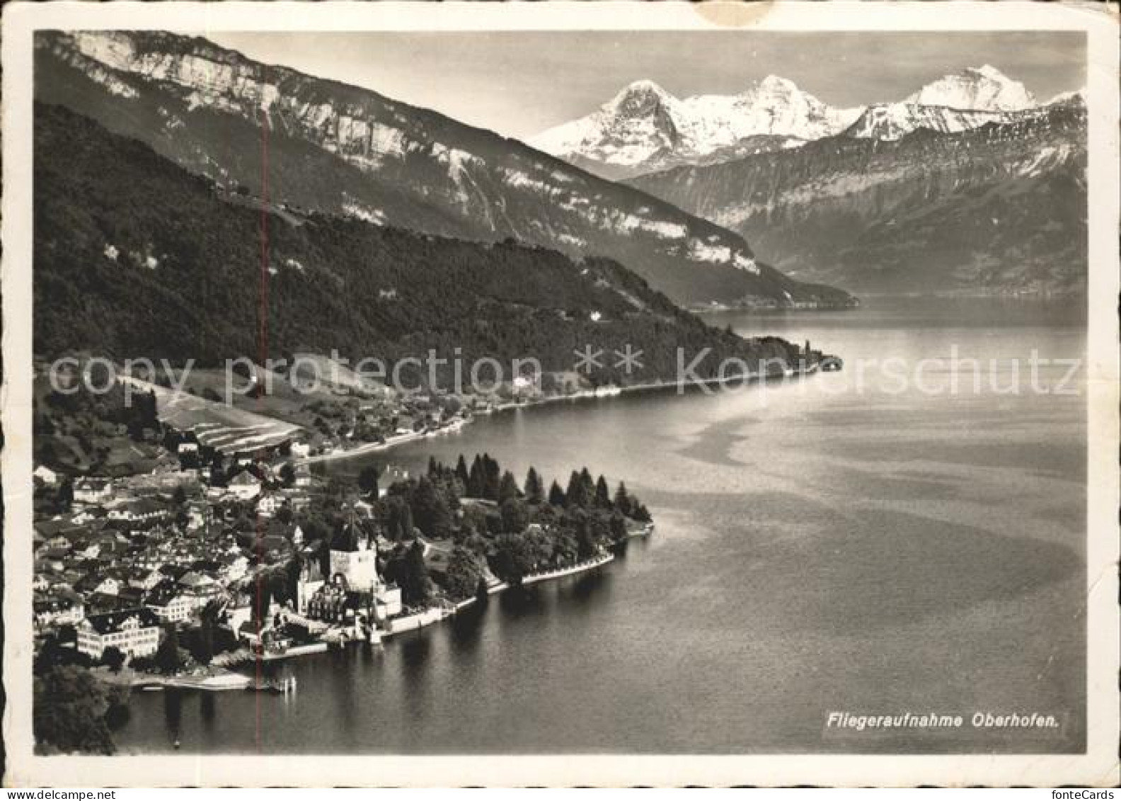 11625040 Oberhofen Thunersee Fliegeraufnahme Thunsersee Apen Oberhofen Am Thuner - Andere & Zonder Classificatie