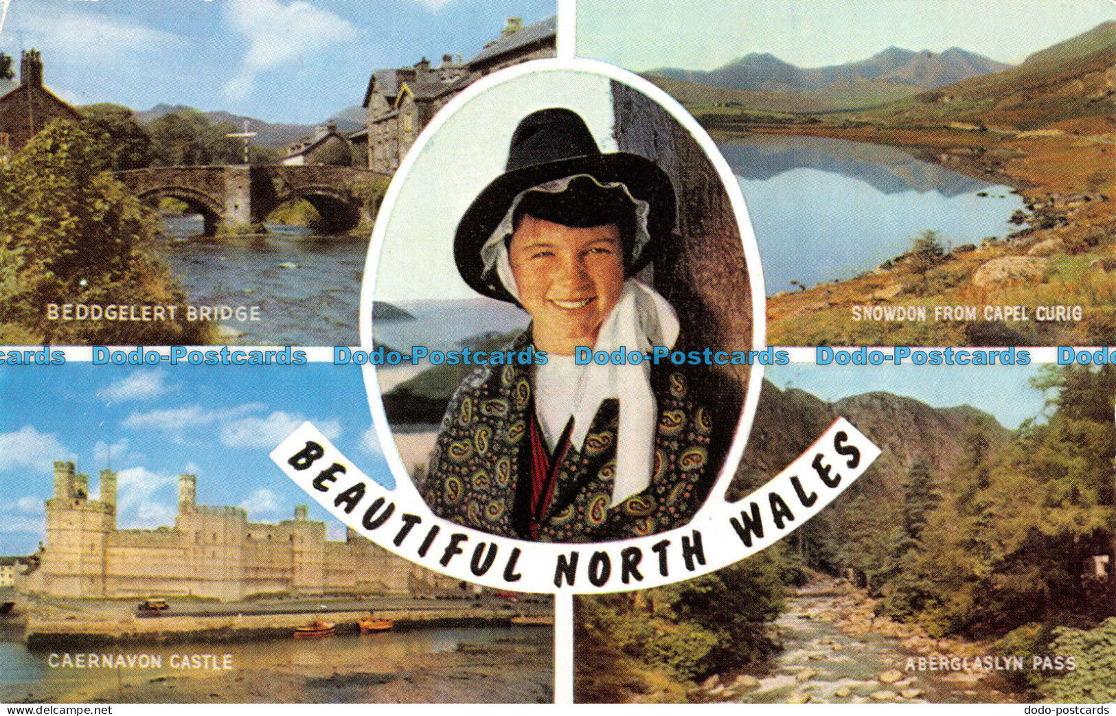 R067145 Beautiful North Wales. Multi View. Salmon - World