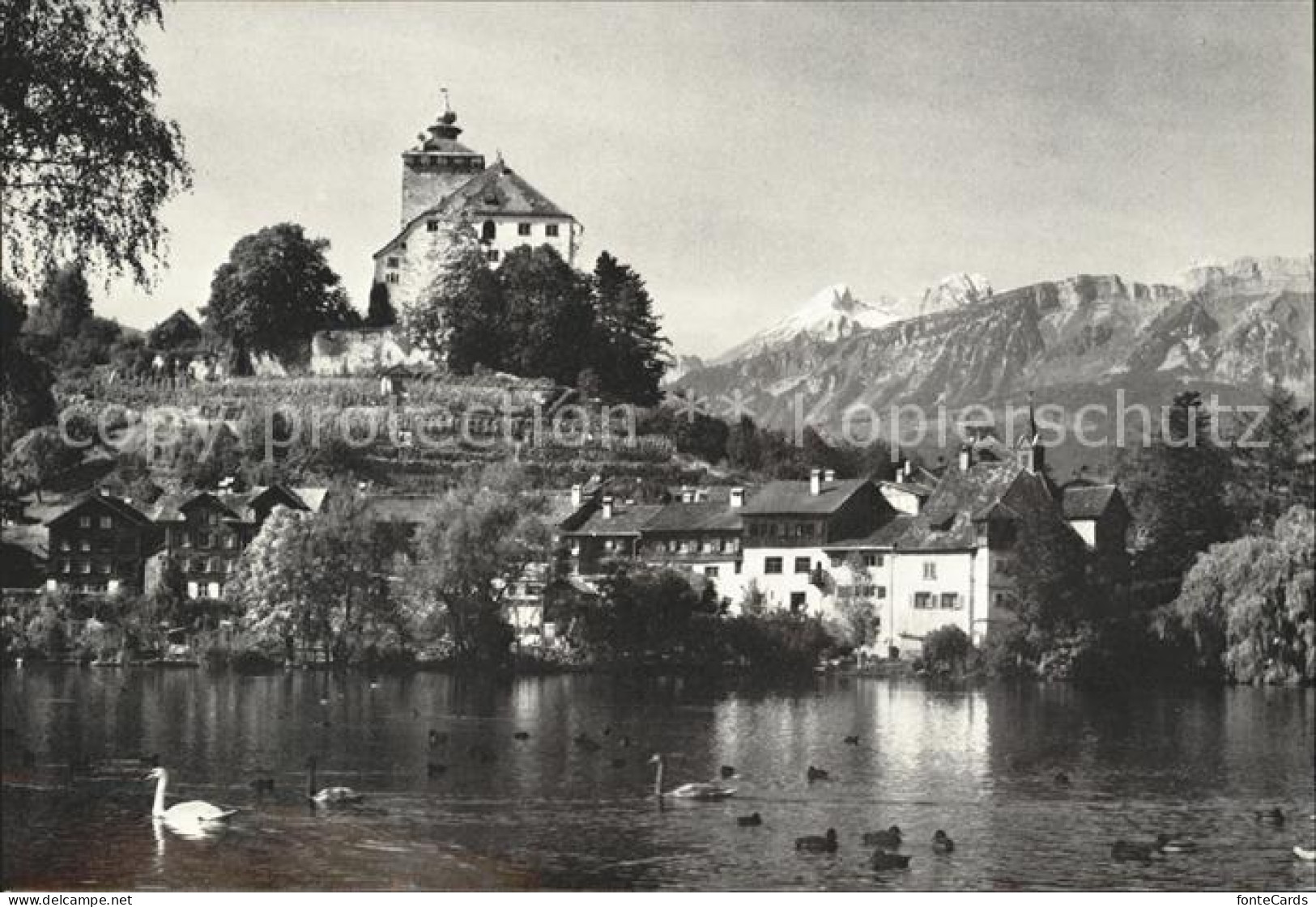 11624420 Werdenberg Schloss  Werdenberg - Sonstige & Ohne Zuordnung