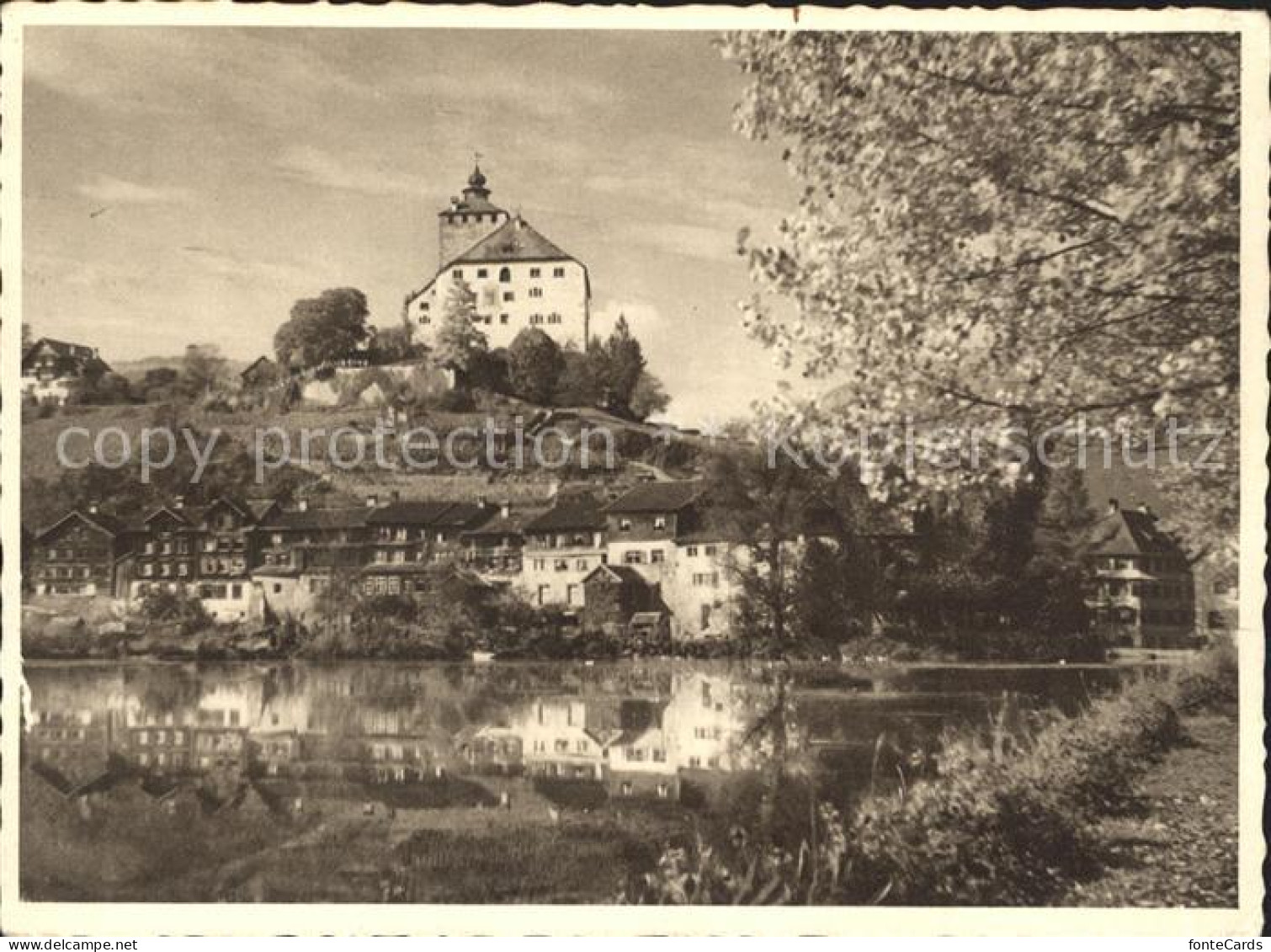 11624398 Werdenberg Schloss Werdenberg - Other & Unclassified