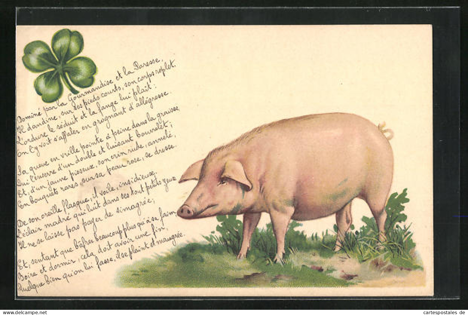 AK Neujahrsgruss Mit Schwein Und Kleeblatt  - Pigs
