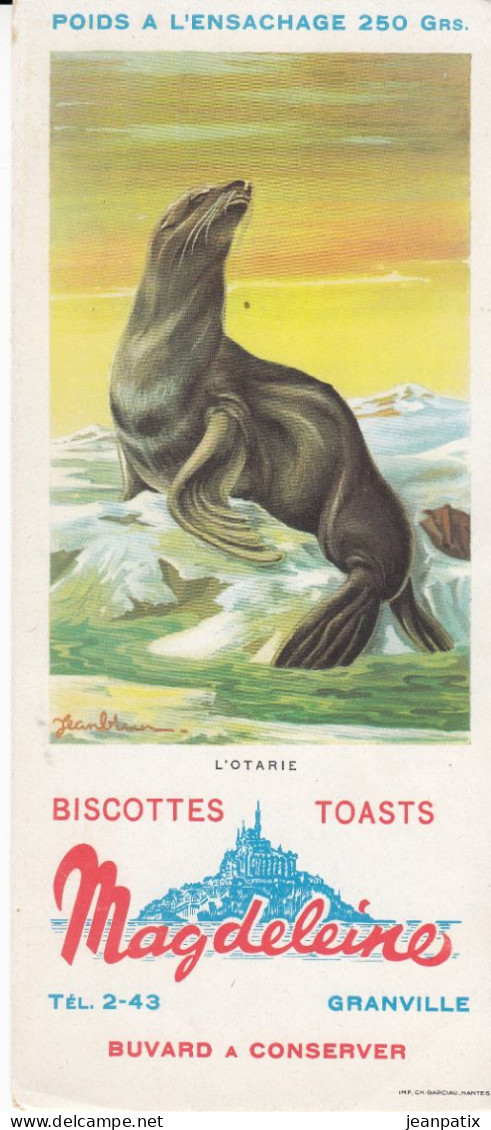 BUVARD & BLOTTER - Biscottes MAGDELEINE - Granville - Série Animaux - L'otarie - Autres & Non Classés