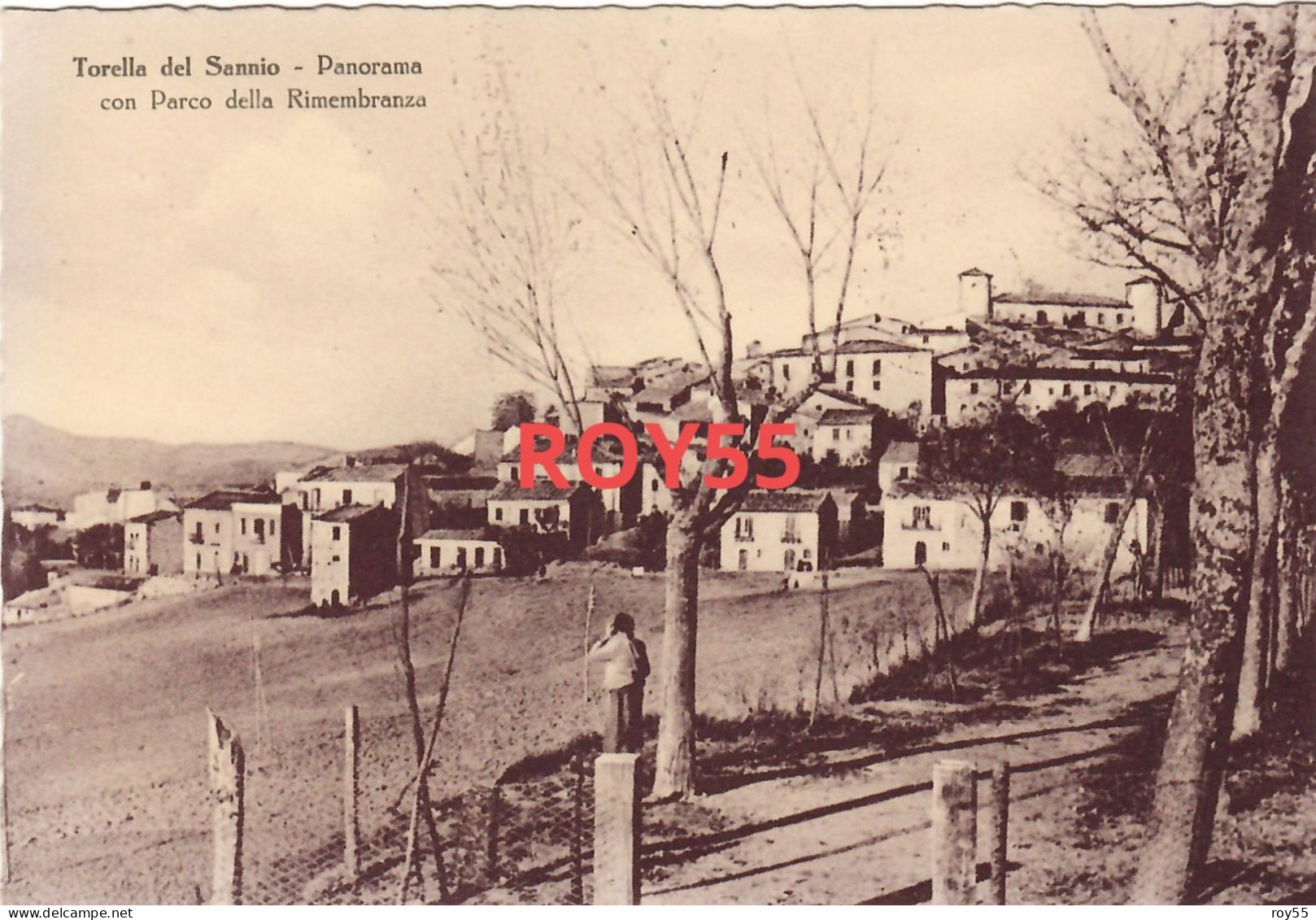 Molise-campobasso-torella Del Sannio Panorama Con Parco Della Rimembranza Bella Veduta Fine Anni 40 - Otros & Sin Clasificación