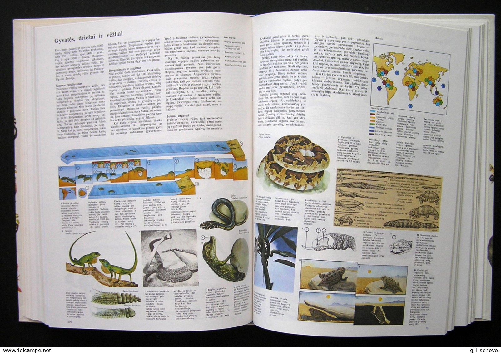 Lithuanian Book / Gyvoji Gamta 1990 - Culture