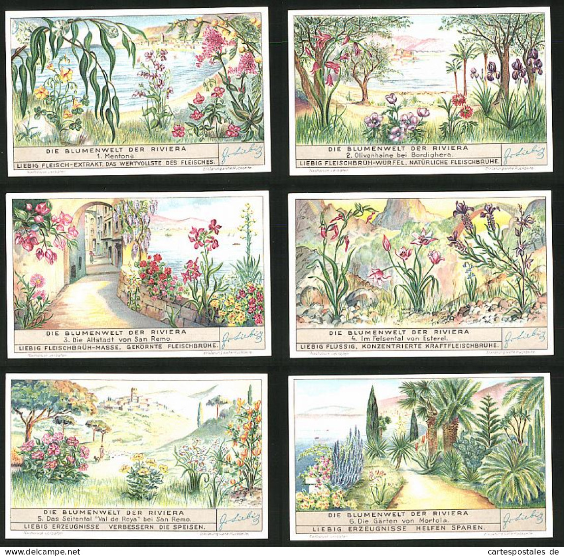6 Sammelbilder Liebig, Serie Nr.: 1354, Die Blumenwelt Von Riviera, Mortola, San Remo, Esterel, Bordighera, Mentone  - Liebig