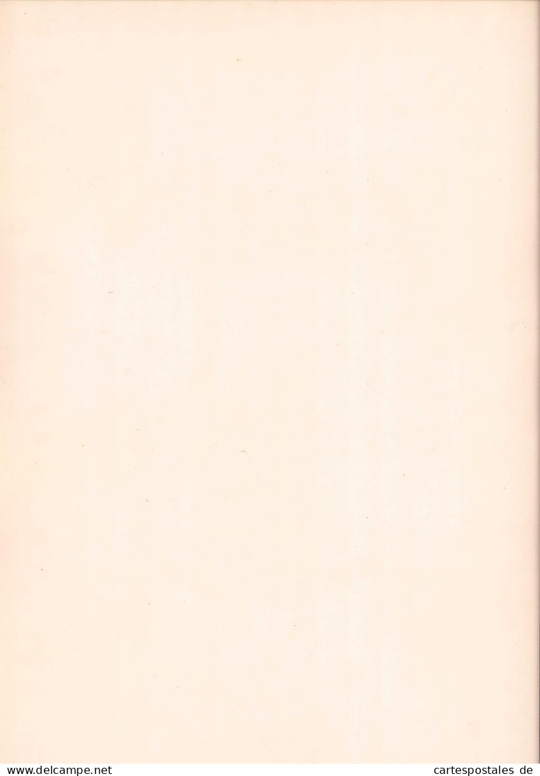Fotografie F.a.O. Beckmann Nachfolger R. Tamme Dresden, Gemälde Die Vestalin Von Angelica Kaufmann, Grossformat 26 X   - Altri & Non Classificati