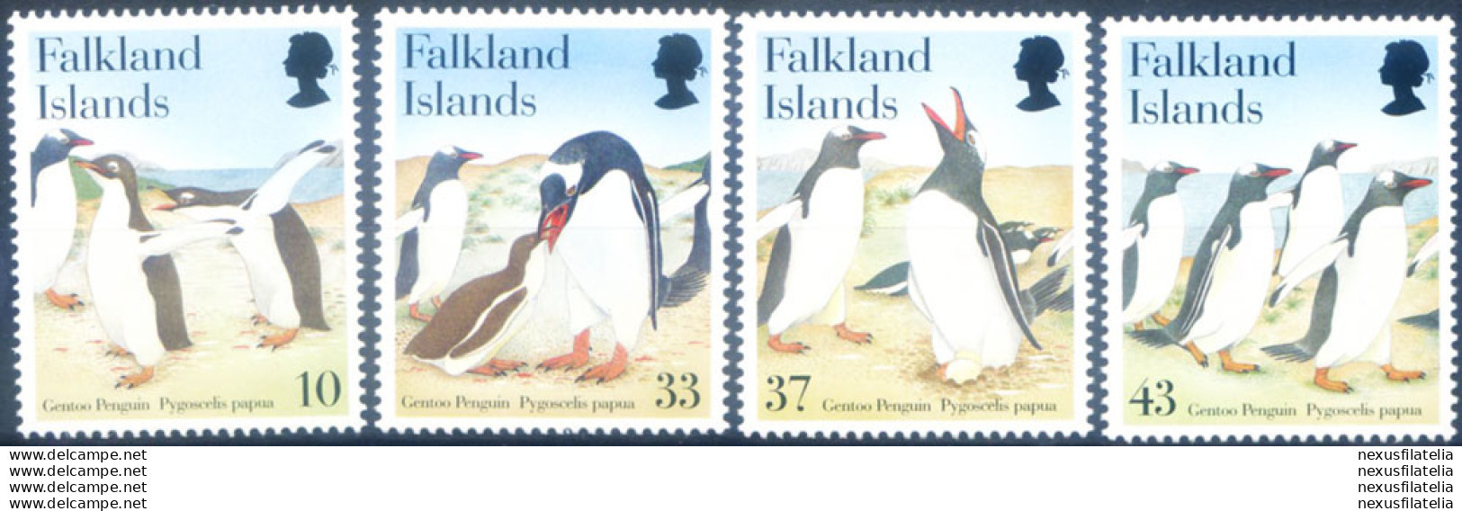 Fauna. Pinguini 2001. - Falklandeilanden
