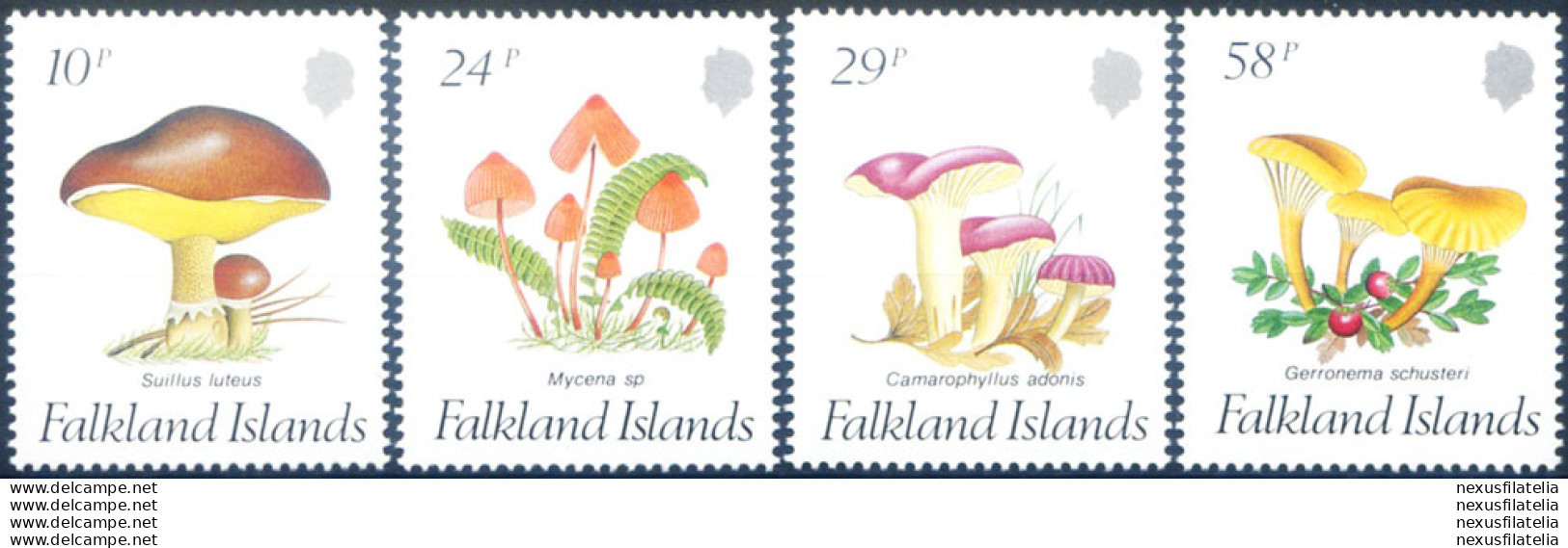 Funghi 1987. - Islas Malvinas