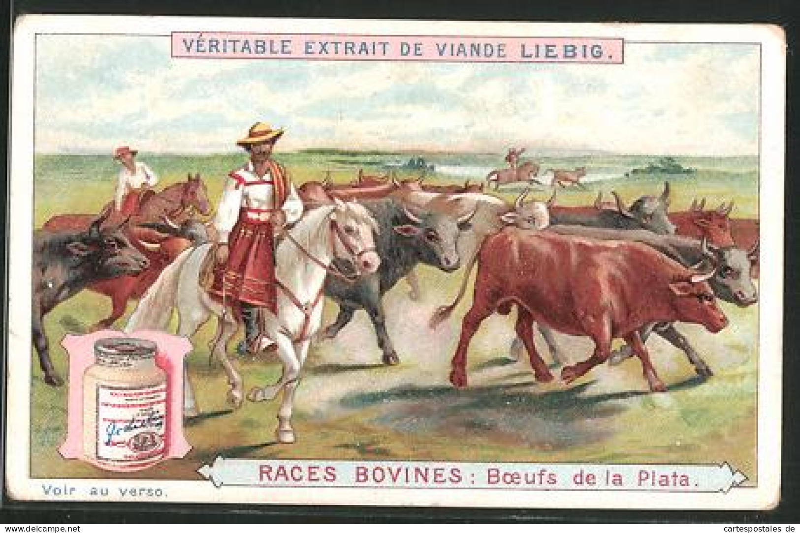 Sammelbild Liebig, Races Bovines, Boeufs De La Plata  - Liebig