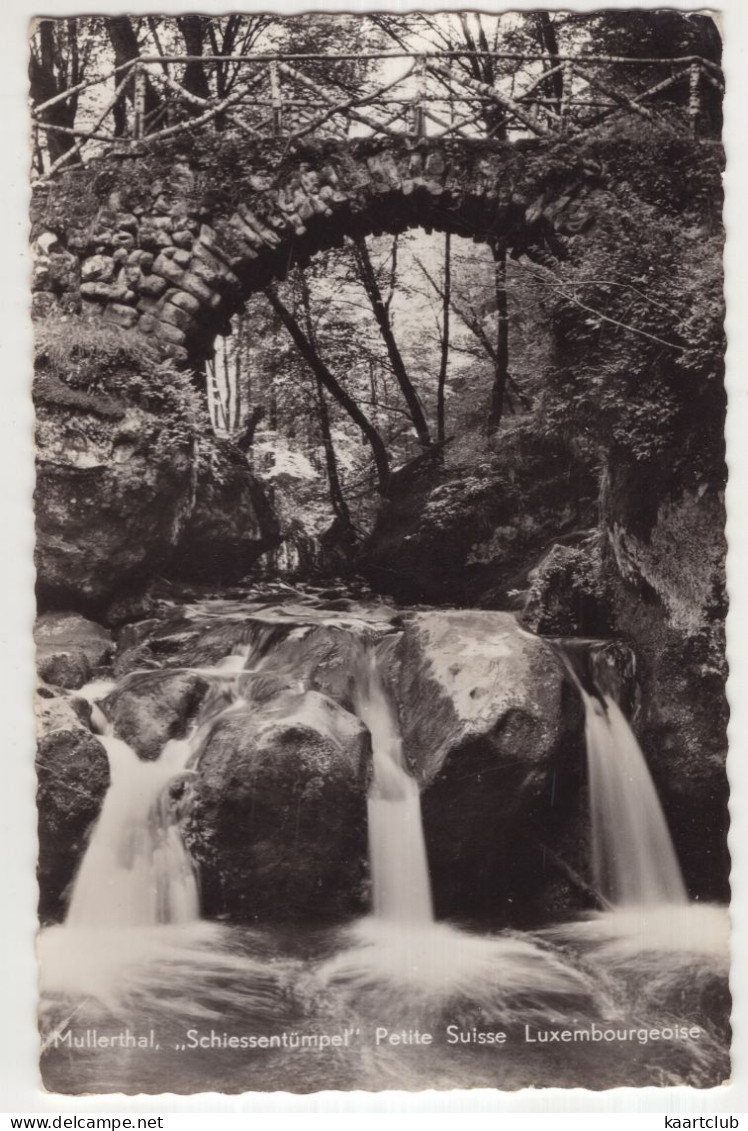 Mullerthal  'Schiessentümpel'  Petite Suisse Luxembourgoise - (Luxembourg) - Müllerthal