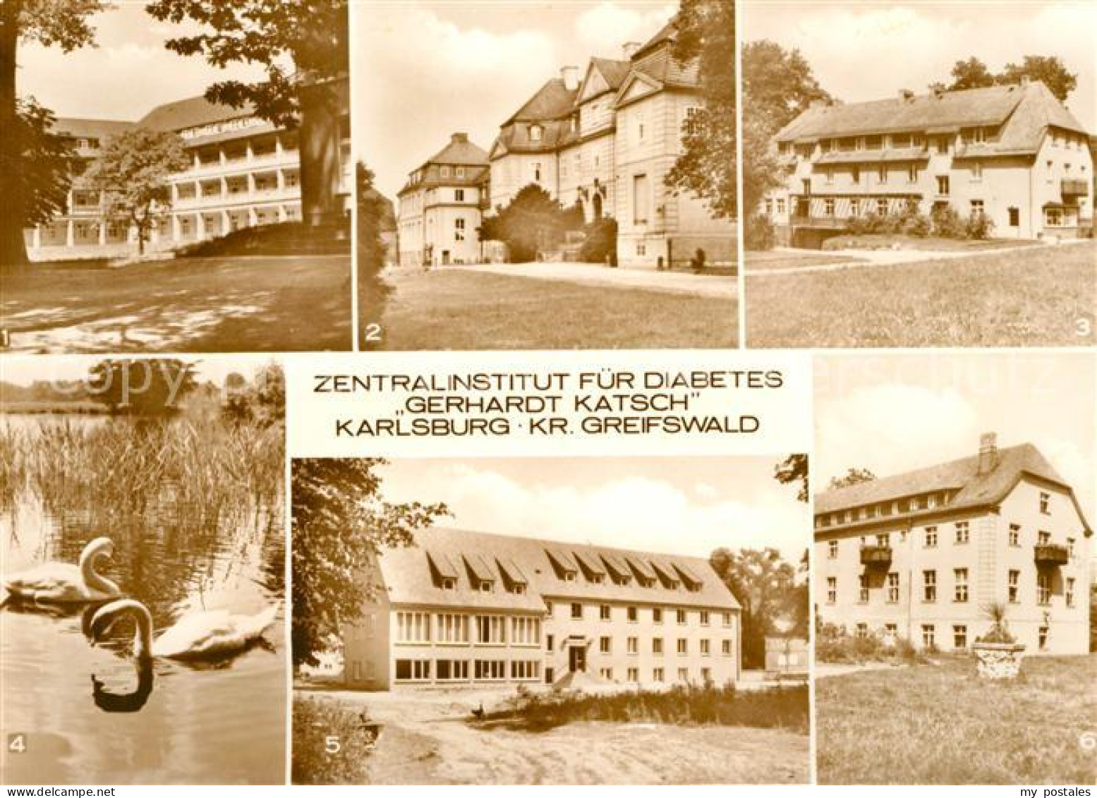 73038301 Karlsburg Greifswald Klinik Barockschloss Haus A Diabetikerforschung Sc - Altri & Non Classificati
