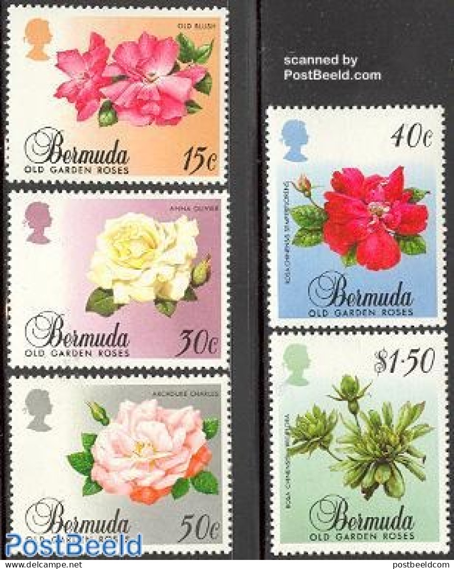 Bermuda 1988 Roses 5v, Mint NH, Nature - Flowers & Plants - Roses - Bermudas