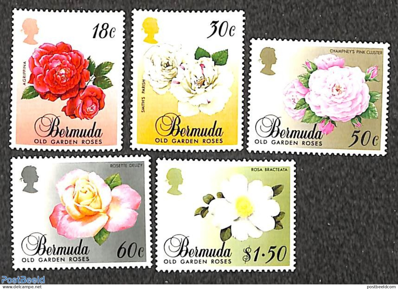 Bermuda 1989 Roses 5v, Mint NH, Nature - Flowers & Plants - Roses - Bermudas