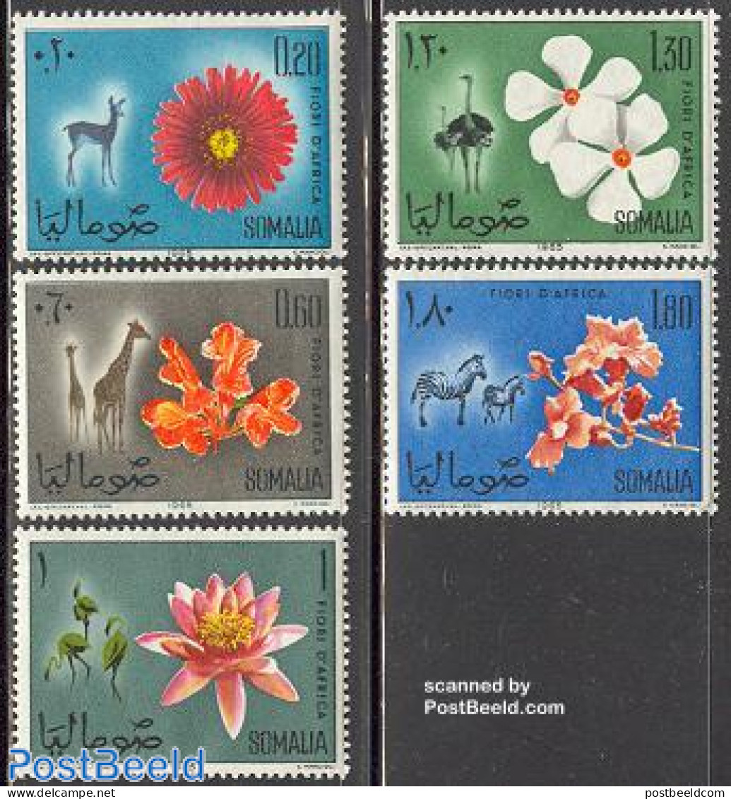 Somalia 1965 Flowers & Animals 5v, Mint NH, Nature - Animals (others & Mixed) - Birds - Flowers & Plants - Giraffe - O.. - Somalie (1960-...)