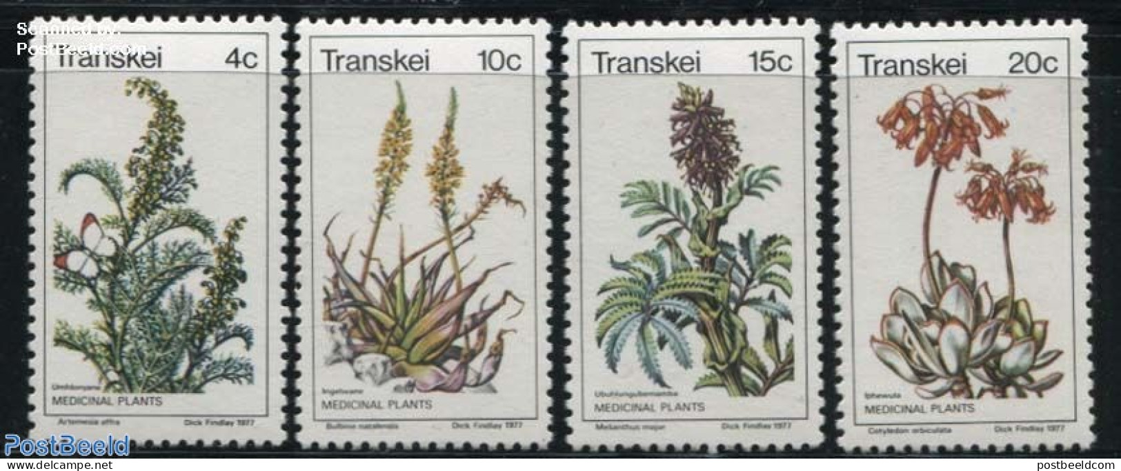 South Africa, Transkei 1977 Medical Plants 4v, Mint NH, Health - Nature - Health - Butterflies - Flowers & Plants - Transkei